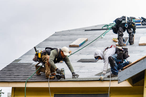 Professional Roofing technician working in Story City, IA